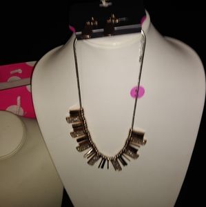Statement Necklace and Earrings